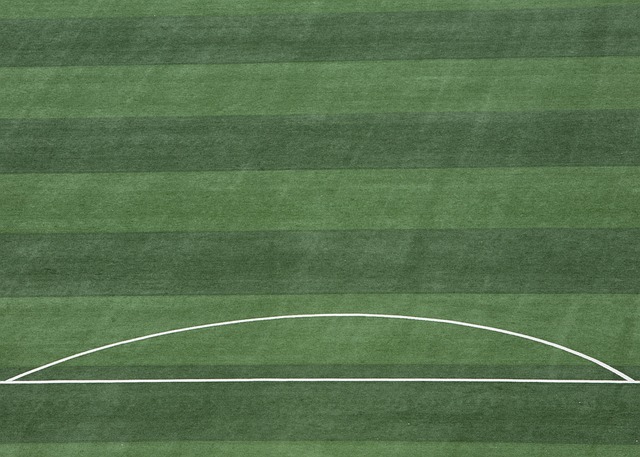 更高的联赛 更高的联赛