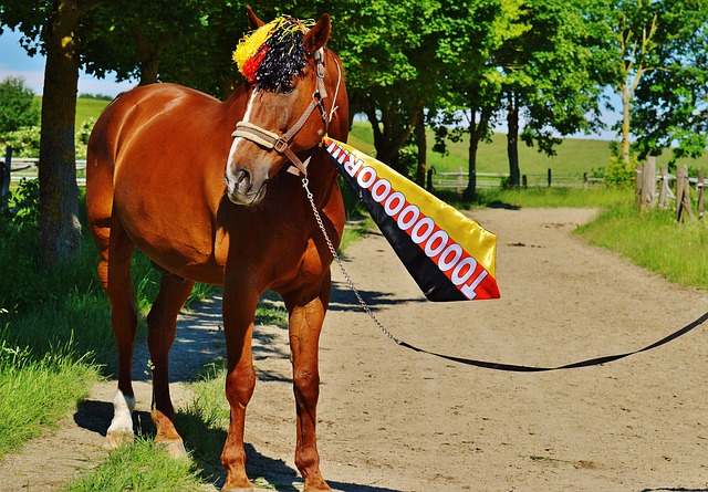 指联盟顶尖 指联盟顶尖