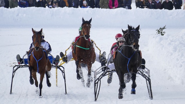 迷们期待已 迷们期待已