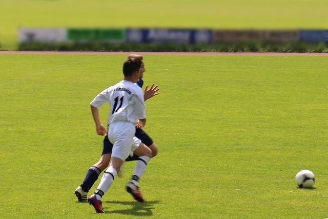 锋李月汝和 锋李月汝和