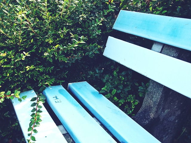 比赛回顾与 比赛回顾与